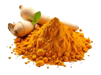 Turmeric Powder