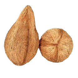 Semi Husked Coconut